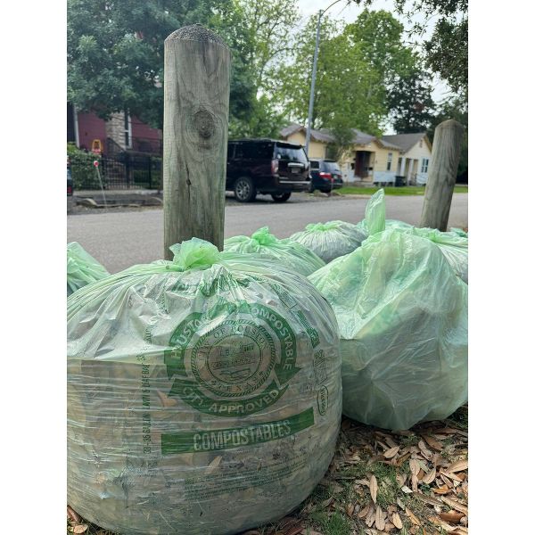 BioBag 33 Gallon Compostable Trash Bags, 10 Count