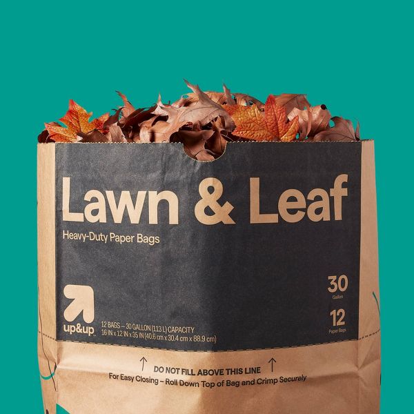 up&up Paper Lawn and Leaf Bags, 12 Count