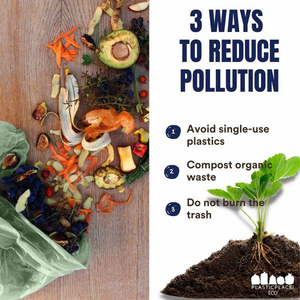 Plasticplace 55-60 Gallon Compostable Trash Bags, 40 Count, Green, 1.0 mil